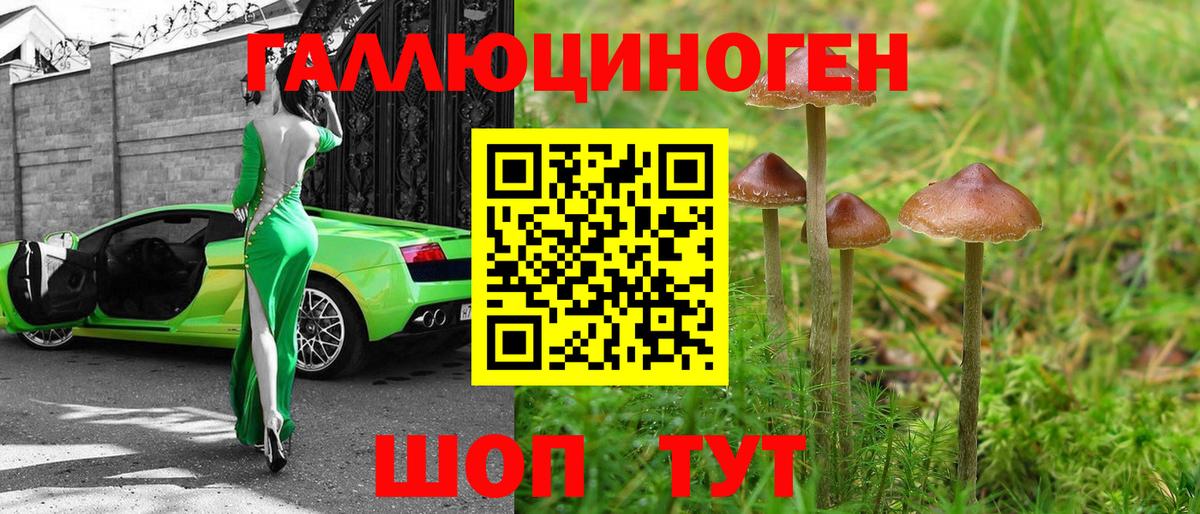 Чебоксары  Галлюциногенные грибы мухоморы  Вход с VPN 